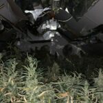 Woonfraude hennep (2)